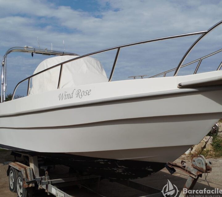 Dolphin 25 Walkaround — foto 1