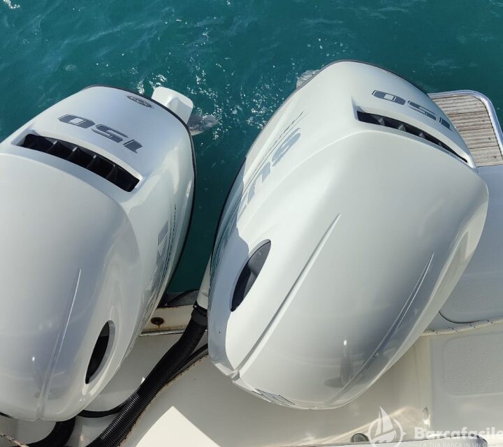 Dolphin 25 Walkaround — foto 5