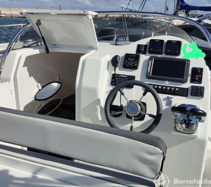 Dolphin 25 Walkaround — foto 2