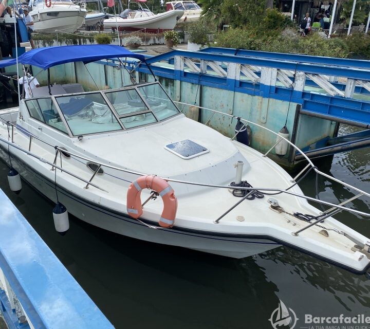 Stamas Liberty 288 Wolk Around — foto 4