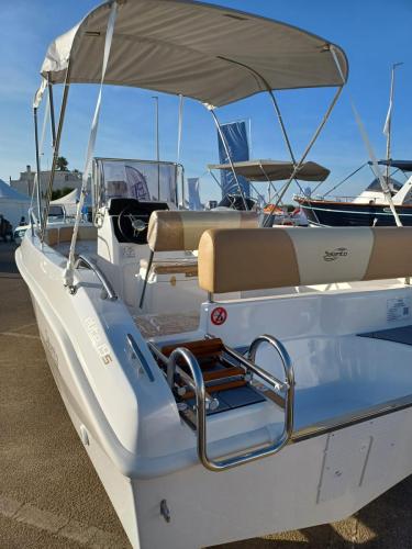 Immagine-WhatsApp-2023-10-14-ore-17.34.31 ac81fbe1