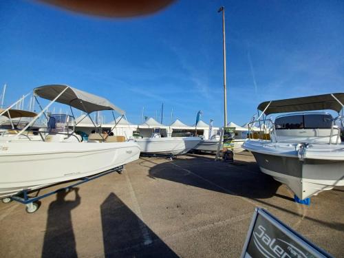 Immagine-WhatsApp-2023-10-14-ore-17.34.32 c2b3925b